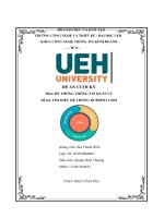 (TIỂU LUẬN) đề án CUỐI kỳ môn hệ THỐNG THÔNG TIN QUẢN lý đề tài tìm HIỂU hệ THỐNG HUBSPOT CRM 