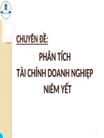 (TIỂU LUẬN) CHUYÊN đề PHÂN TÍCH tài CHÍNH DOANH NGHIỆP NIÊM yết 