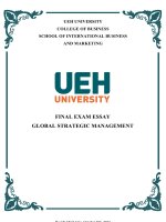 (TIỂU LUẬN) FINAL EXAM ESSAY GLOBAL STRATEGIC MANAGEMENT 
