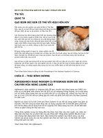 Bản tin Cây trồng Công nghệ sinh học ngày 1 tháng 8 năm 2018 Tin tức QUốC Tế GạO BIếN ĐổI GEN CÓ THể VÔ HIệU HÓA HIV