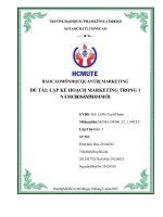 BÁO cáo môn học QUẢN TRỊ MARKETING đề tài lập kế HOẠCH MARKETING TRONG 1 năm CHO sản PHẨM mới 