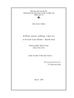 Luận văn thạc sĩ USSH gốm men trắng văn in ở di tích lam kinh   thanh hoá  luận văn ths khảo cổ học 60 22 60 