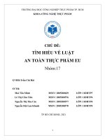(TIỂU LUẬN) CHỦ đề tìm HIỂU về LUẬT AN TOÀN THỰC PHẨM EU 