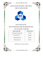 BÁO CÁO BÀI TẬP LỚN MÔN CƠ SỞ TÍNH TOÁN THIẾT KẾ THIẾT BỊ HÓA HỌC