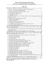 Báo cáo đề xuất cấp giấy phép môi trường của Công ty Cổ phần thực phẩm và đồ uống Quốc tế