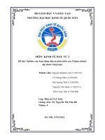 (TIỂU LUẬN) môn KINH tế đầu tư 2 đề bài nghiên cứu hoạt động đầu tư phát triển của vinfast (thuộc tập đoàn vingroup) 