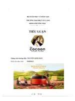 TIỂU LUẬN thương hiệu mỹ phẩm cocoon 