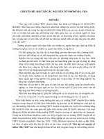 (TIỂU LUẬN) CHUYÊN đề bài tập các NGUYÊN tố NHÓM VIA, VIIA 