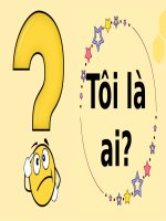 10 1  ôn tập truyện kí VN hạnh 