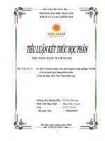 (TIỂU LUẬN) cơ hội và thách thức của cách mạng công nghiệp 4 0 đối với các quốc gia đang phát triển  liên hệ thực tiễn việt nam hiện nay  