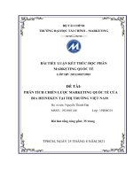 (TIỂU LUẬN) PHÂN TÍCH CHIẾN lược MARKETING QUỐC tế của BIA HEINEKEN tại THỊ TRƯỜNG VIỆT NAM 