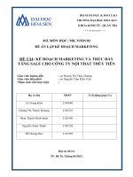 (TIỂU LUẬN) kế HOẠCH MARKETING và THÚC đẩy TĂNG SALE CHO CÔNG TY nội THẤT THÙY TIÊN 