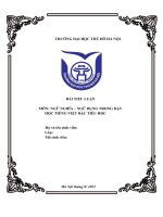 (TIỂU LUẬN) TIỂU LUẬN môn NGỮ NGHĨA – NGỮ DỤNG TRONG dạy học TIẾNG VIỆT bậc TIỂU học phân tích các dạng hiện thực hoá nghĩa của từ trong ngữ cảnh  