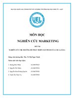 (TIỂU LUẬN) NGHIÊN cứu MARKETING đề tài NGHIÊN cứu THỊ TRƯỜNG để PHÁT TRIỂN sản PHẨM của COCA COLA 