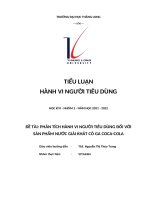 (TIỂU LUẬN) đề tài PHÂN TÍCH HÀNH VI NGƯỜI TIÊU DÙNG đối với sản PHẨM nước GIẢI KHÁT có GA COCA COLA 