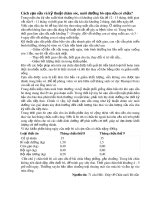 Cách cạn sữa và kỹ thuật chăm sóc, nuôi dưỡng bò cạn sữa có chửa