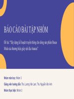 (TIỂU LUẬN) đề tài xây dựng kế hoạch truyền thông cho dòng sản phẩm basas mule của thương hiệu giày nội địa ananas 