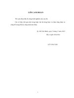 (Luận văn thạc sĩ) Nghiên cứu thiết kế, chế tạo thử nghiệm thiết bị thu gom rác trên bãi biển
