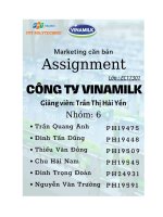 (TIỂU LUẬN) phân tích môi trường marketing và chiến lược marketing hỗn hợp của dòng 