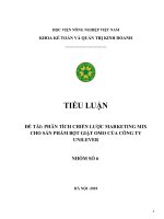 (TIỂU LUẬN) TIỂU LUẬN đề tài PHÂN TÍCH CHIẾN lược MARKETING MIX CHO sản PHẨM bột GIẶT OMO của CÔNG TY UNILEVER 
