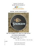 (TIỂU LUẬN) đề tài NGHIÊN cứu NHU cầu TIÊU DÙNG sản PHẨM STRONGBOW 