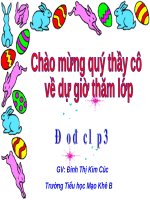 Bài giảng Đạo đức lớp 3: Biết ơn thương binh, liệt sĩ - Đinh Thị Kim Cúc