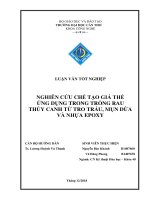 (TIỂU LUẬN) NGHIÊN cứu CHẾ tạo GIÁ THỂ ỨNG DỤNG TRONG TRỒNG RAU THỦY CANH từ TRO TRẤU, mụn dừa và NHỰA EPOXY 