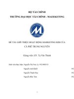 (TIỂU LUẬN) đề tài GIỚI THIỆU HOẠT ĐỘNG MARKETING b2b của cà PHÊ TRUNG NGUYÊN 