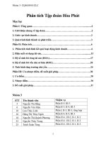 (TIỂU LUẬN) phân tích tập đoàn hòa phát phân tích tình hình kết quả hoạt động kinh doanh 