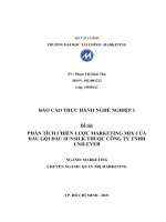 (TIỂU LUẬN) PHÂN TÍCH CHIẾN lược MARKETING MIX của dầu gội đầu SUNSILK THUỘC CÔNG TY TNHH UNILEVER 
