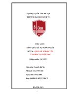 (TIỂU LUẬN) TIỂU LUẬN môn QUẢN lý nợ nước NGOÀI đề tài  QUẢN lý NGUỒN vốn VAY ODA tại VIỆT NAM 