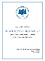 (TIỂU LUẬN) TIỂU LUẬN sự kết hợp các mặt đối lập 