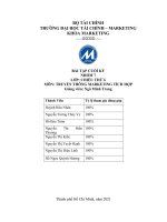 (TIỂU LUẬN) TRUYỀN THÔNG MARKETING TÍCH hợp  tổng quan về thị trường điện thoại và tập đoàn samsung tổng quan thị trường điện thoại di động ở việt nam 
