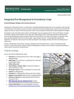 Pest scouting in greenhouses