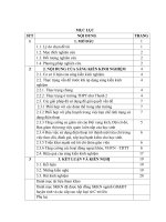 Một số giải pháp nhằm hạn chế việc lạm dụng sử dụng điện thoại di động của học sinh thông qua các hoạt động đoàn tại trường THPT như thanh 2 