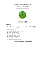 (TIỂU LUẬN) TIỂU LUẬN đề tài tìm hiểu thị trường và giá cả của sản phẩm hạt điều ở việt nam  
