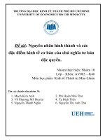 (TIỂU LUẬN) nguyên nhân hình thành và các đặc điểm kinh tế cơ bản của chủ nghĩa tư bản độc quyền  