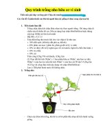 HD TRỒNG NHO hữu cơ vi sinh