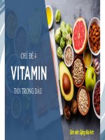 (TIỂU LUẬN) trình bày nguồn gốc, nhu cầu và chức năng sinh học của vitamin a trình bày một số bệnh lý thường gặp khi thiếu hụt vitamin a 