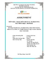 Chuyên đề kế HOẠCH DIGITAL MARKETING CHO NHÃN HÀNG MILO của CÔNG TY TNHH NESTLÉ VIỆT NAM 6 THÁNG đầu năm 2022 