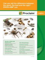 proclaim the good the bad and the ugly