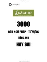 3000 câu ngữ pháp - từ vựng tiếng Anh hay sai: Phần 1