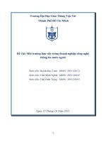 (TIỂU LUẬN) đề tài môi trường làm việc trong doanh nghiệp công nghệ thông tin nước ngoài 