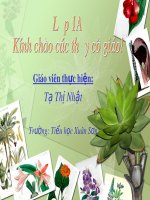 Bài giảng Đạo đức lớp 1 bài 9: Lễ phép vâng lời thầy giáo, cô giáo (Tiết 1) - Tạ Thị Nhật