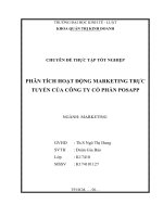 (TIỂU LUẬN) PHÂN TÍCH HOẠT ĐỘNG MARKETING TRỰC TUYẾN của CÔNG TY cổ PHẦN POSAPP 