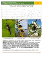 ConservingBeneficialInsectSpeciesforHealthyGardensCBC CAFS