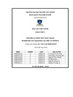 (TIỂU LUẬN) tìm HIỂU và PHÂN TÍCH THỰC TRẠNG MARKETING của AQUAFINA tại CÔNG TY PEPSICO 