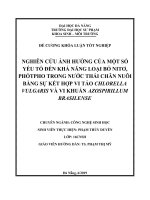 (TIỂU LUẬN) NGHIÊN cứu ẢNH HƯỞNG của một số yếu tố đến KHẢ NĂNG LOẠI bỏ NITƠ, PHỐTPHO TRONG nước THẢI CHĂN NUÔI BẰNG sự kết hợp VI tảo CHLORELLA VULGARIS và VI KHUẨN AZOSPIRILLUM BRASILENSE 