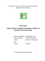 (TIỂU LUẬN) TIỂU LUẬN THỰC TRẠNG và BIỆN PHÁP PHÒNG CHỐNG tệ nạn MA túy ở VIỆT NAM 