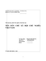 (TIỂU LUẬN) tiểu luận học phần chủ nghĩa xã hội khoa học nền dân CHỦ xã hội CHỦ NGHĨA VIỆT NAM 